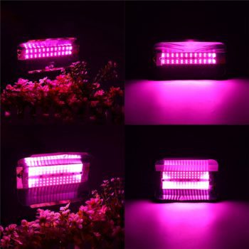 Full Spectrum 50W 100W LED Plant Flower Grow Flood Light Spotlight Outdoor Indoor Lamp AC220V